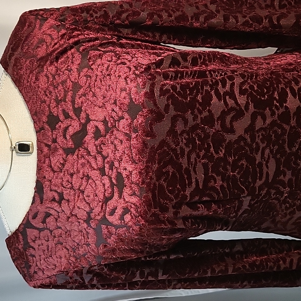 SLNY Deep Red Velvet Dress - Picture 2 of 7